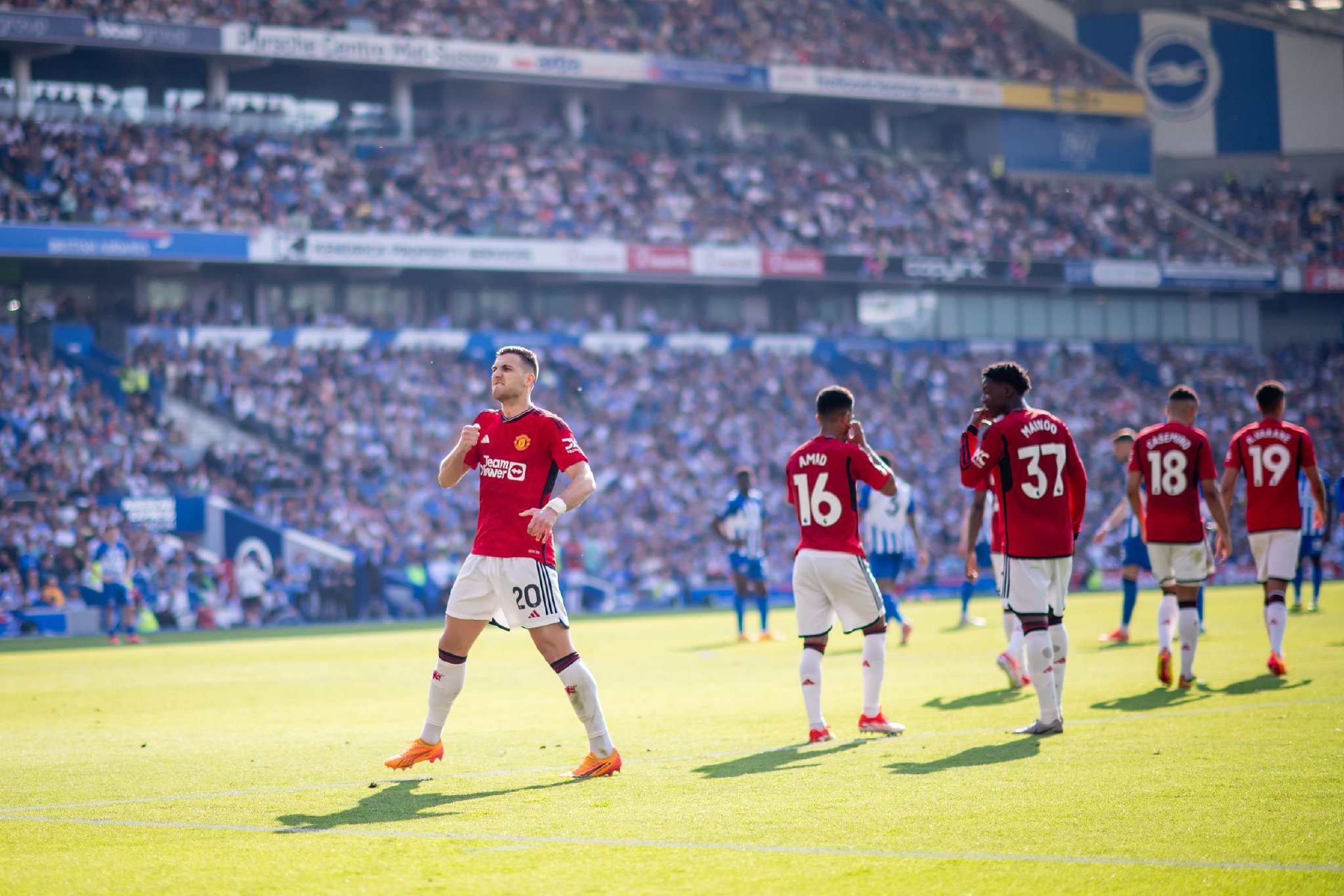 仅是增强我 仅是增强我